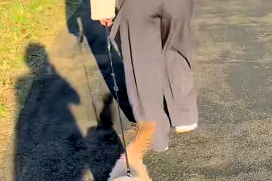 ママが大好きすぎる犬→お姉ちゃんが代わりにお散歩した結果…『散歩どころじゃない様子』が話題に「分かりやすい優先順位」「可愛すぎるw」