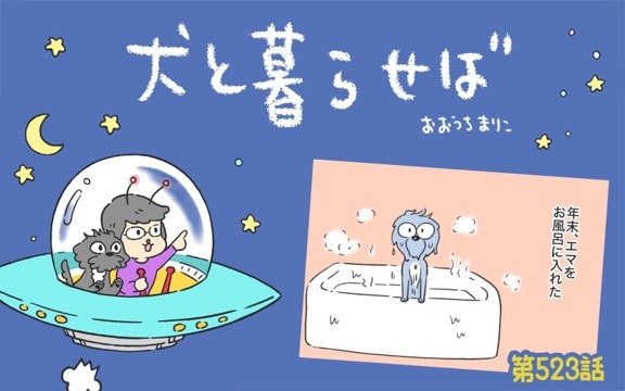 犬と暮らせば【第523話】「新年の抱負」