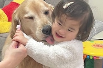 歯磨きを頑張る犬たち→1歳の女の子が近づいて…幸せに溢れている『尊い行動』が11万再生「自然と笑顔になっちゃう」「すべてが可愛い」と絶賛