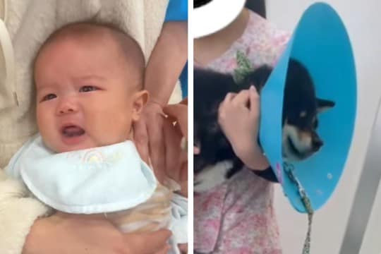 赤ちゃんの予防接種と犬の狂犬病注射へ→似たもの同士すぎる『それぞれのリアクション』が212万再生「なにこの天使たち」「同じで可愛いｗ」