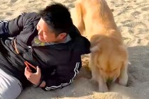 散歩で海にやってきた男性と大型犬→猛ダッシュした結果…思わず吹き出す『まさかのハプニング』が190万再生「事故で草」「全部フルパワーｗ」