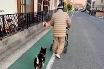 『近所のおじいちゃん』が大好きな犬→一緒に『シニアカー』に乗って…素敵すぎる『ふたりの時間』が38万再生「心が暖かくなる」「かわいい」