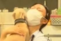 久しぶりにトリミングサロンのお姉さんに会った犬→飼い主には目もくれず…『喜びを爆発させる様子』が15万再生「コミュ力高ｗ」「優しい人」