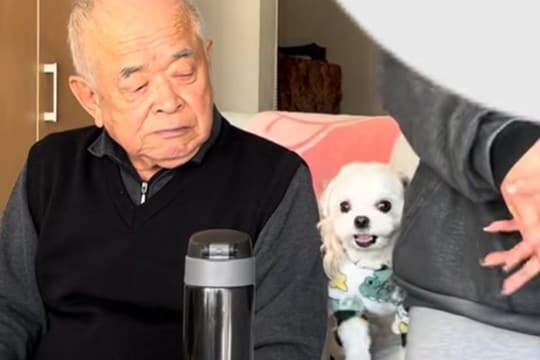 おじいちゃんが大好きな犬→隣に座ってみた結果…まさかの『嫉妬しまくる光景』が可愛すぎると63万再生「取り合ってるの笑う」「羨ましい」
