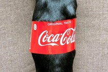 『コカ・コーラの瓶』かと思ったら…おもしろ可愛い『まさかの正体』がSNSで話題「コーラで間違いない」「1本ください！」と12万表示