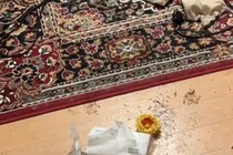 夜、DIYをしていた女性→大型犬から少し目を離した結果…あまりにも絶望的すぎる『衝撃の状況』が518万再生「逃げる範囲せまくて草」と反響