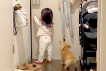 出張からパパが帰宅→小さな女の子と犬が玄関で待ち構えて…泣けるほど幸せな『尊い光景』が558万表示「熱烈歓迎」「早送りみたいｗ」と絶賛