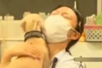 久しぶりにトリミングサロンのお姉さんに会った犬→飼い主には目もくれず…『喜びを爆発させる様子』が15万再生「コミュ力高ｗ」「優しい人」