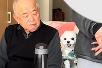 おじいちゃんが大好きな犬→隣に座ってみた結果…まさかの『嫉妬しまくる光景』が可愛すぎると63万再生「取り合ってるの笑う」「羨ましい」