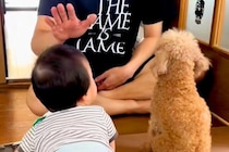 犬にしつけをしていたら、赤ちゃんが近づいてきて…まさかの『素直すぎる行動』に思わず笑ってしまうと17万再生「お利口さん」「みんな可愛い」