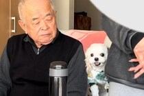 おじいちゃんが大好きな犬→隣に座ってみた結果…まさかの『嫉妬しまくる光景』が可愛すぎると63万再生「取り合ってるの笑う」「羨ましい」