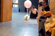 結婚式の『リングドッグ』を任された犬の1日に密着→挙式で見せた『尊い行動』が238万再生「反則並の可愛さ」「きゅんきゅんした」と悶絶