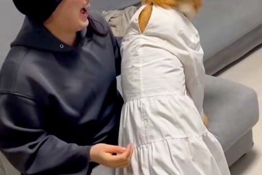 捨てようとしていた白いワンピースを『大型犬に着せてみた』結果→あまりにも似合いすぎている光景が26万再生「脳バグるｗ」「ご満悦で可愛い」