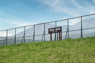 ドッグランの看板