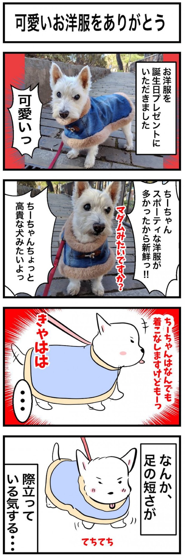 ちーちゃんですけどもっ【第344話】　1