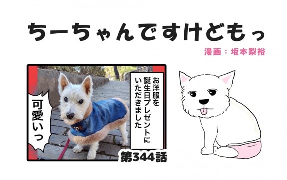 ちーちゃんですけどもっ【第344話】「可愛いお洋服をありがとう」
