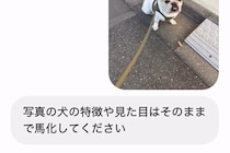 AIに犬の写真を送って『見た目はそのままで馬にして』とお願いした結果→想定外すぎる生成が105万再生「犬タウロスｗｗ」「吹いたｗ」