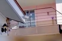 『車についたら振り返ってみて』とトリマーに言われたので、外で窓を見てみたら…泣けてくる光景が38万再生「涙出た…」「愛ですね」と感動