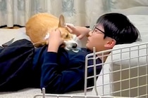 息子と一緒に寝転がっている犬に『ママと寝る？』と声を掛けた結果→どちらと眠るか悩んで…尊い結末が54万再生「優しさの塊」「ほっこり」