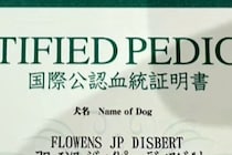 『犬の血統書』が届いたので確認したら…衝撃的な『本当の名前』がSNSで話題「うちはブロッコリーだった」「フラミンゴでした」と18万再生