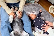 赤ちゃんと犬に『手遊び歌』をやってみた結果…ワンコとは思えない『可愛いが渋滞している光景』が41万再生「されるがままｗ」「幸せな空間」