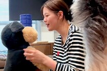 犬の前で『ぬいぐるみ』を可愛がってみた結果…全力で『阻止』しようとする光景が愛おしすぎると160万再生「嫉妬の地団駄ｗ」「かわいすぎ」