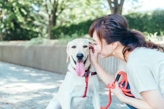 犬が喜ぶ『話しかけ方』５選　安心感を与える声のかけ方や注意すべき接し方まで解説