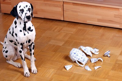 割れたティーポット