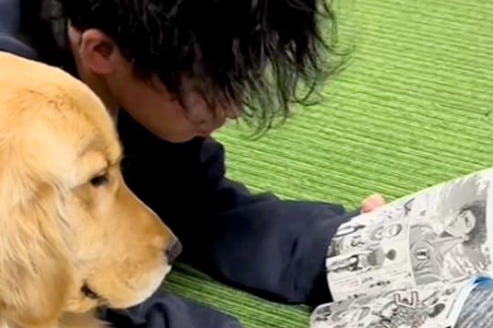 漫画を読んでいるお兄ちゃん→大型犬が隣にやってきて…まるで『本当の兄弟みたいな様子』に反響「前足かわいい」「一緒に読んでるんだね」