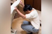 『犬と遊んでる最中、パパが急に消えたらどうなるのか』検証した結果…愛おしすぎる『必死な光景』が31万再生「焦ってるｗ」「しっぽフリフリ」