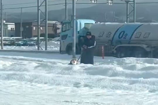 朝、散歩中の犬とパパを『こっそり迎えに行った』結果→犬が先に気づいて…愛おしすぎる光景に74万再生の反響「ひょっこりw」「ガン見してる」
