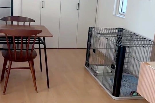 妻が犬を連れて動物病院へ→ふと家の中を確認してみた結果…衝撃的な『わすれもの』が15万再生「笑ったww」「キョトンとしてて草」と爆笑の声