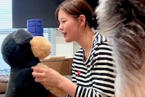 犬の前で『ぬいぐるみ』を可愛がってみた結果…全力で『阻止』しようとする光景が愛おしすぎると160万再生「嫉妬の地団駄ｗ」「かわいすぎ」