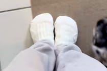 家の中を移動すると、必ず『犬』がついてきて…とんでもなく愛おしい『おしりの定位置』が27万再生「乗っかってるｗｗ」「安心するんだね」