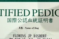 『犬の血統書』が届いたので確認したら…衝撃的な『本当の名前』がSNSで話題「うちはブロッコリーだった」「フラミンゴでした」と18万再生