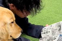 漫画を読んでいるお兄ちゃん→大型犬が隣にやってきて…まるで『本当の兄弟みたいな様子』に反響「前足かわいい」「一緒に読んでるんだね」