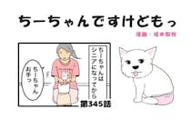 ちーちゃんですけどもっ【第345話】「できないんでなくてやりたくないだけ」