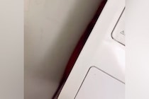 散歩嫌いな犬に『お散歩行きませんか？』とお誘い→洗濯機の横に隠れてしまい…まさかの『シンデレラフィット』が80万再生「食パンみたいｗｗ」