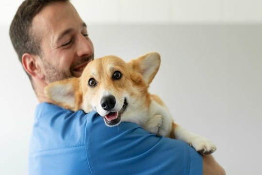 犬からの『愛情度』を知る方法5選　主なチェック項目や愛犬から好かれる人の共通点まで