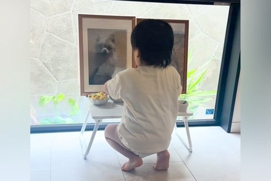 亡くなった愛犬の命日、遺影の前にお供え物をしたら…2歳の男の子がみせた『優しい行動』が尊すぎる　胸がじんわり温かくなる光景に反響