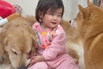 1歳の女の子が『生まれた時から犬と過ごした』結果→言葉は通じなくても…目と目での『意思疎通』が21万再生「本当の兄妹…」「笑顔になる」