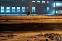 マイナス5度の中、散歩に出かけた犬とお手伝いさん→30分帰ってこないので心配していたら…『衝撃の光景』が28万再生「全然帰る気ないｗｗ」