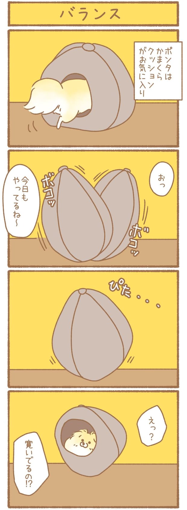 ただの犬好きです。【第347話】