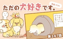 ただの犬好きです。【第347話】「バランス」