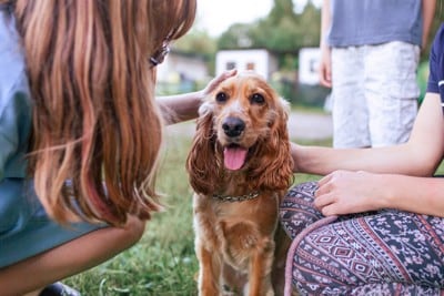 犬の周囲に3人