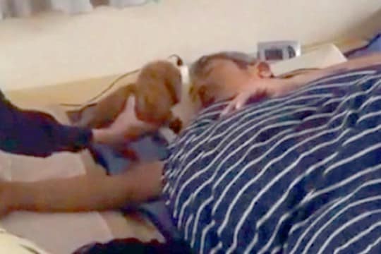 眠る父の横に、サプライズで『会ったことのない子犬』を置いた結果→驚くと思ったら…まさかの光景が71万再生「ソフトタッチで草」「適応力w」