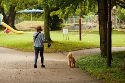 犬を連れて散歩している主婦の後姿