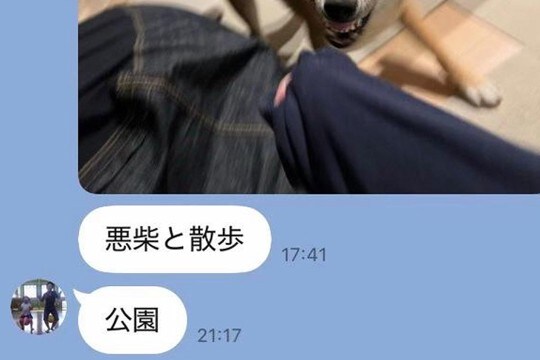 家族からのLINEで、いつも『犬』が送られてきて…シュールで愛おしい『平和すぎるやり取り』が12万再生「お母さんの一言w」「やばいww」