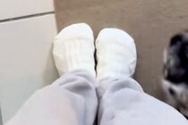 家の中を移動すると、必ず『犬』がついてきて…とんでもなく愛おしい『おしりの定位置』が27万再生「乗っかってるｗｗ」「安心するんだね」