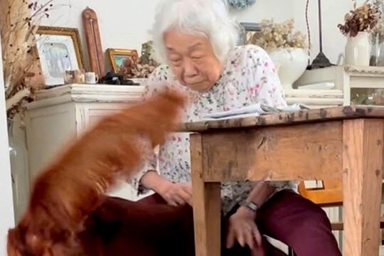 認知症になった『90歳のおばあちゃん』に突撃する大型犬→『微笑ましいやり取り』が22万再生「なんて素敵な時間」「足さばきが若者のよう」